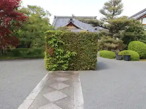 神光院(京都府)