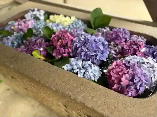 稲荷神社(愛知県)