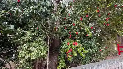 於呂閇志胆澤川神社(岩手県)