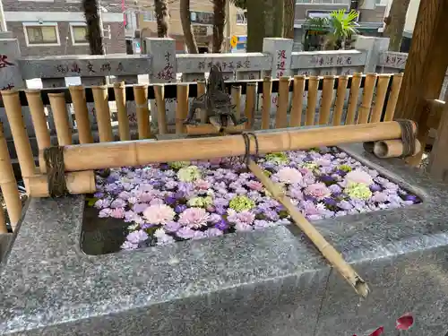 高円寺氷川神社の手水