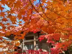 瑠璃寺(長野県)