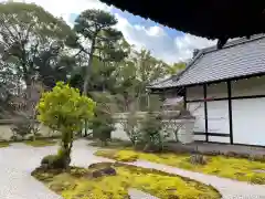 廬山寺（廬山天台講寺）(京都府)