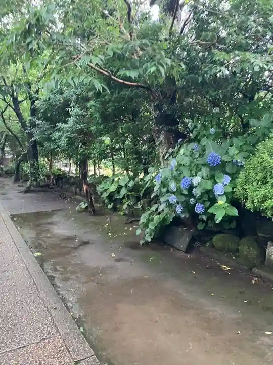 極楽寺(霊鷲山感應院極楽律寺)の庭園
