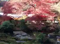 実相院門跡(京都府)