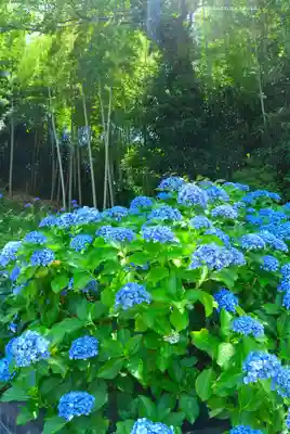 天台宗　長窪山　正覚寺(神奈川県)