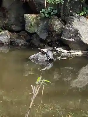 平塚八幡宮(神奈川県)