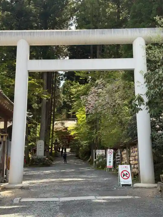 御岩神社の{uncategorized: "未分類", other: "その他", undefined: "問題あり", building: "その他建物", grave: "お墓", sacred_gate: "鳥居", guardian: "狛犬", statue: "像", buddha: "仏像", history: "歴史", nature: "自然", garden: "庭園", animal: "動物", pagoda: "塔", temizu: "手水舎", mountain_gate: "山門・神門", sanctuary: "本殿・本堂", subordinate: "末社・摂社", art: "芸術", scenery: "景色", jizo: "地蔵", ema: "絵馬", goshuin: "御朱印", omikuji: "おみくじ", items: "授与品その他", amulet: "お守り", goshuincho: "御朱印帳", eats: "食事", festival: "お祭り", votive_dance: "神楽", shichigosan: "七五三参", wedding: "結婚式", experience: "体験その他", initially: "初詣", around: "周辺", anti_infection: "感染症対策"}
