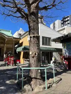 矢先稲荷神社(東京都)