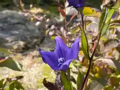 谷性寺の自然