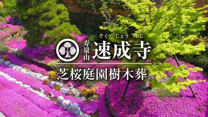 寿量山 速成寺のお墓