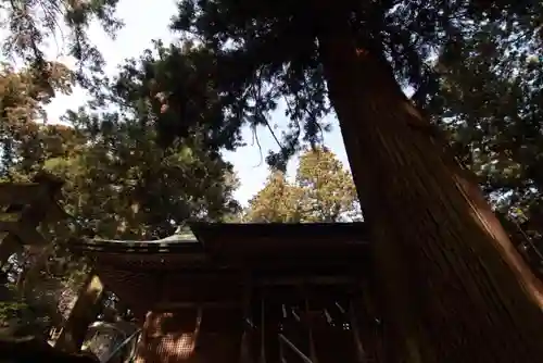 鹿島大神宮の自然