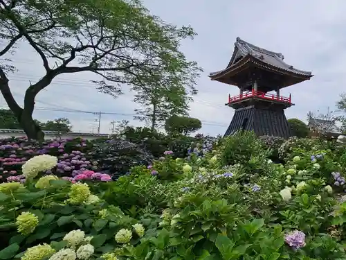 能護寺(埼玉県)