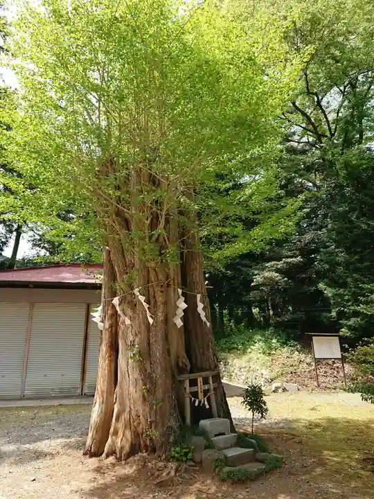 寄神社の自然