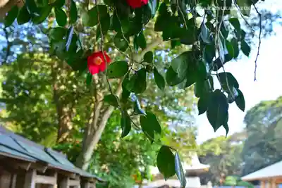 酒列磯前神社(茨城県)