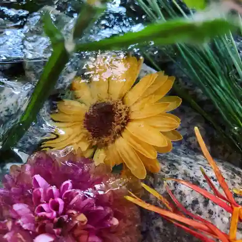 滑川神社 - 仕事と子どもの守り神の手水舎