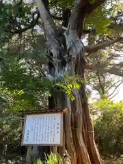 大瀬神社(静岡県)