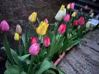 大宮温泉神社の自然