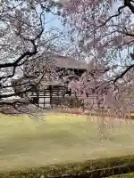 東大寺(奈良県)