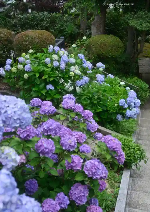 妙楽寺(神奈川県)