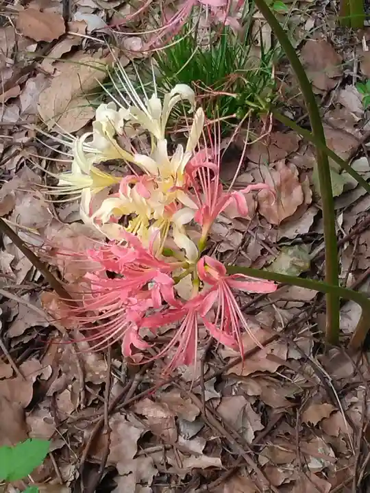 横浜 西方寺(神奈川県)
