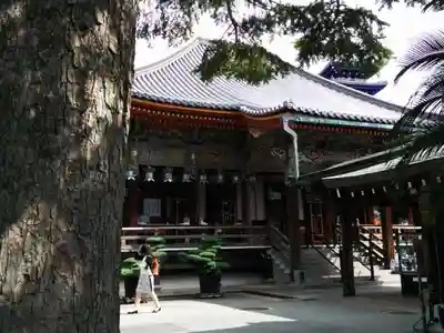 中山寺の本殿・本堂