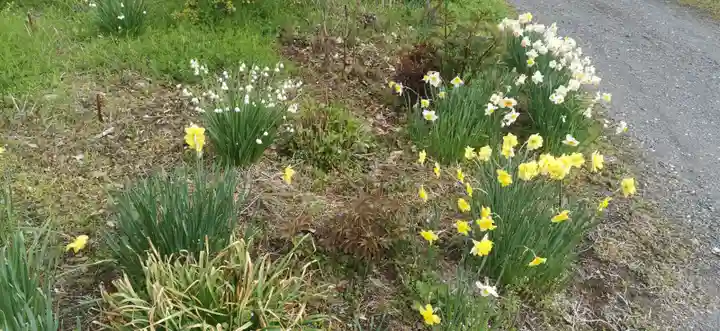 西善寺(埼玉県)
