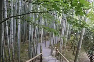 圓光寺(京都府)