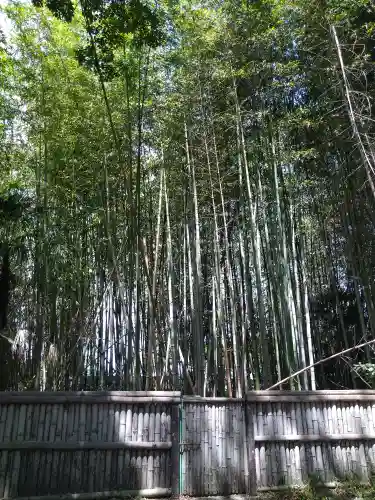 五流尊瀧院の自然