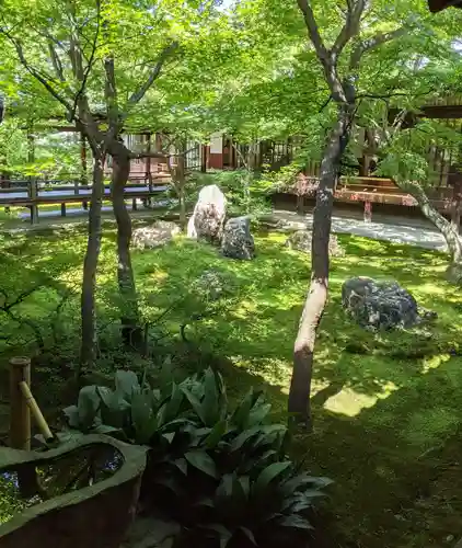 建仁寺（建仁禅寺）の庭園