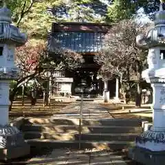 三寳寺(東京都)