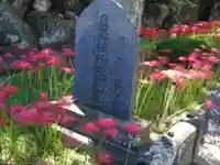 横浜 西方寺の自然