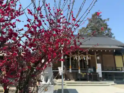 櫻岡大神宮の{uncategorized: "未分類", other: "その他", undefined: "問題あり", building: "その他建物", grave: "お墓", sacred_gate: "鳥居", guardian: "狛犬", statue: "像", buddha: "仏像", history: "歴史", nature: "自然", garden: "庭園", animal: "動物", pagoda: "塔", temizu: "手水舎", mountain_gate: "山門・神門", sanctuary: "本殿・本堂", subordinate: "末社・摂社", art: "芸術", scenery: "景色", jizo: "地蔵", ema: "絵馬", goshuin: "御朱印", omikuji: "おみくじ", items: "授与品その他", amulet: "お守り", goshuincho: "御朱印帳", eats: "食事", festival: "お祭り", votive_dance: "神楽", shichigosan: "七五三参", wedding: "結婚式", experience: "体験その他", initially: "初詣", around: "周辺", anti_infection: "感染症対策"}