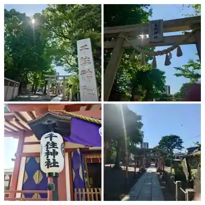 千住神社の{uncategorized: "未分類", other: "その他", undefined: "問題あり", building: "その他建物", grave: "お墓", sacred_gate: "鳥居", guardian: "狛犬", statue: "像", buddha: "仏像", history: "歴史", nature: "自然", garden: "庭園", animal: "動物", pagoda: "塔", temizu: "手水舎", mountain_gate: "山門・神門", sanctuary: "本殿・本堂", subordinate: "末社・摂社", art: "芸術", scenery: "景色", jizo: "地蔵", ema: "絵馬", goshuin: "御朱印", omikuji: "おみくじ", items: "授与品その他", amulet: "お守り", goshuincho: "御朱印帳", eats: "食事", festival: "お祭り", votive_dance: "神楽", shichigosan: "七五三参", wedding: "結婚式", experience: "体験その他", initially: "初詣", around: "周辺", anti_infection: "感染症対策"}