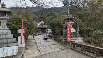 大豊神社のその他建物