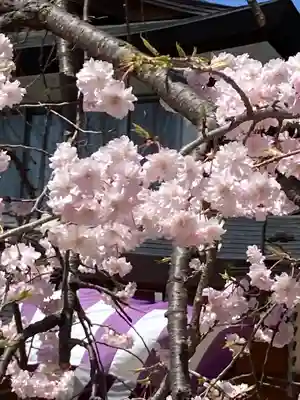 四柱神社(長野県)