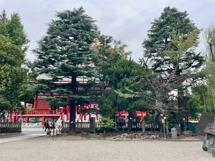 浅草神社(東京都)
