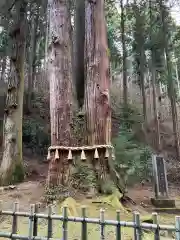 御岩神社の自然