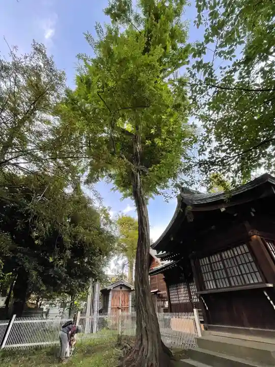多田神社の自然