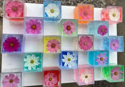 般若寺 ❁﻿コスモス寺❁(奈良県)