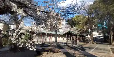 千住神社(東京都)