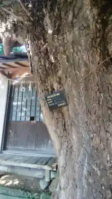 道祖神社の自然