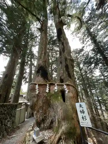 玉置神社の{uncategorized: "未分類", other: "その他", undefined: "問題あり", building: "その他建物", grave: "お墓", sacred_gate: "鳥居", guardian: "狛犬", statue: "像", buddha: "仏像", history: "歴史", nature: "自然", garden: "庭園", animal: "動物", pagoda: "塔", temizu: "手水舎", mountain_gate: "山門・神門", sanctuary: "本殿・本堂", subordinate: "末社・摂社", art: "芸術", scenery: "景色", jizo: "地蔵", ema: "絵馬", goshuin: "御朱印", omikuji: "おみくじ", items: "授与品その他", amulet: "お守り", goshuincho: "御朱印帳", eats: "食事", festival: "お祭り", votive_dance: "神楽", shichigosan: "七五三参", wedding: "結婚式", experience: "体験その他", initially: "初詣", around: "周辺", anti_infection: "感染症対策"}