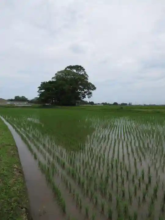 神明神社(千葉県)