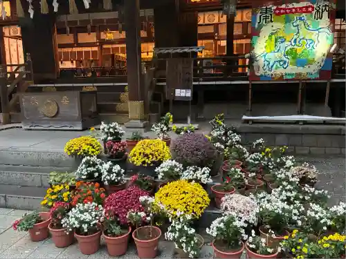 平塚八幡宮(神奈川県)