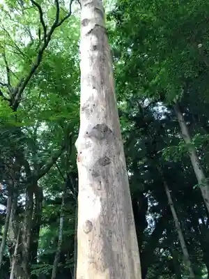 諏訪大社上社前宮(長野県)