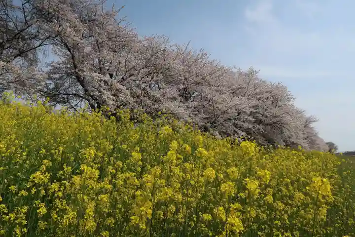 白鬚神社(岐阜県)