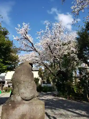 本郷氷川神社(東京都)