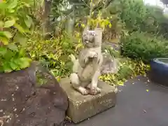 御誕生寺（猫寺）の狛犬