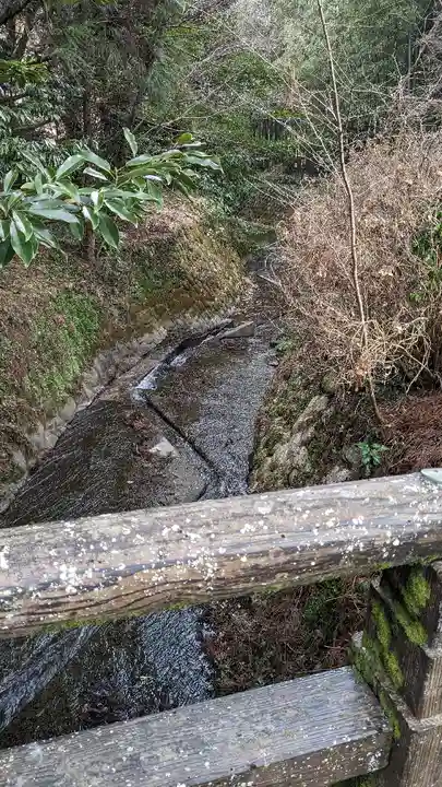 国造神社の自然