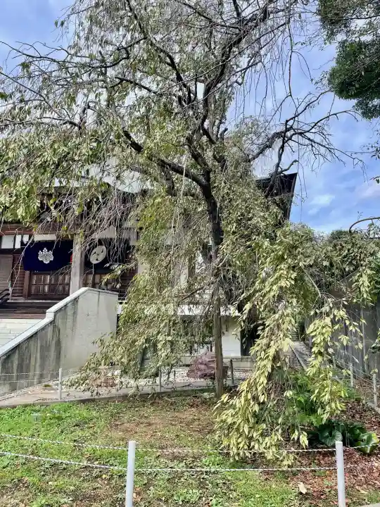 相模國分寺(神奈川県)